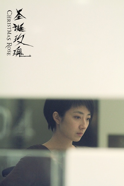 圣诞玫瑰剧照的剧照