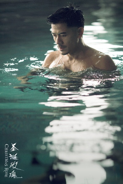 圣诞玫瑰剧照的剧照