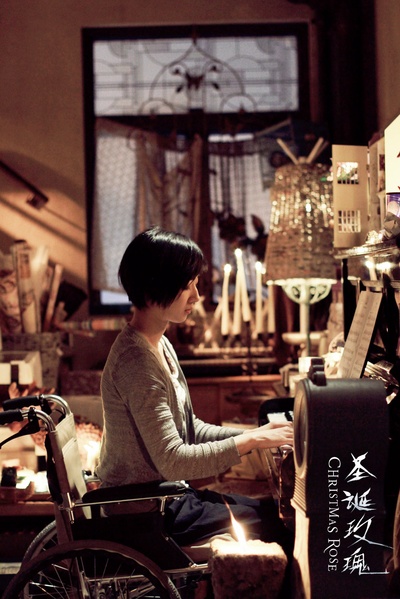 圣诞玫瑰剧照的剧照