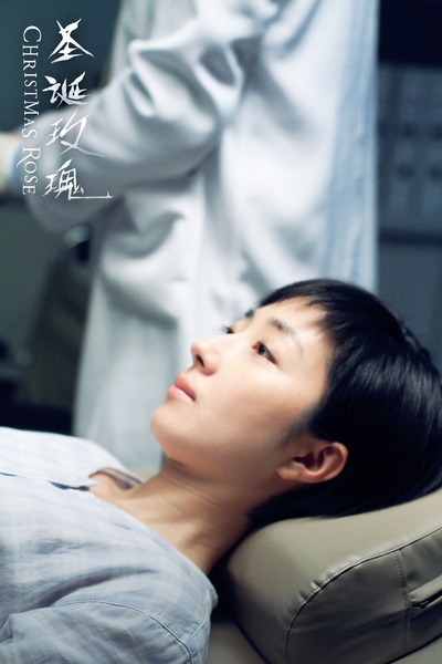 圣诞玫瑰剧照的剧照