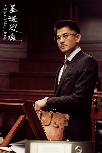 圣诞玫瑰剧照的剧照