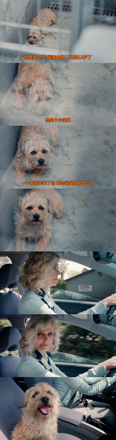 我们梦中见剧照的剧照