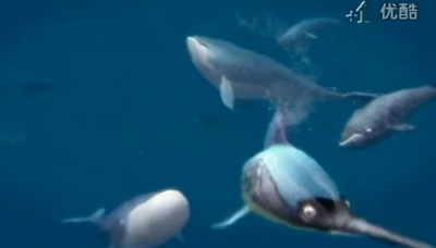 远在天边剧照的剧照