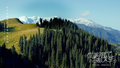 你美丽了我的人生剧照的剧照