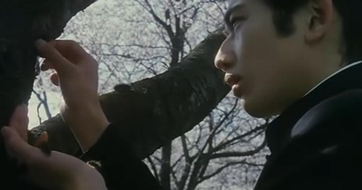 蓝色青春剧照的剧照