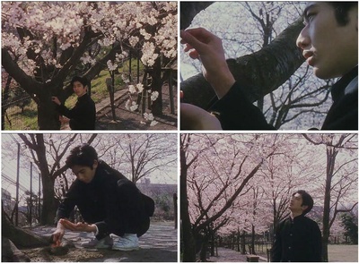 蓝色青春剧照的剧照