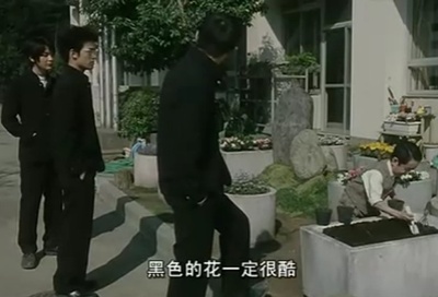 蓝色青春剧照的剧照