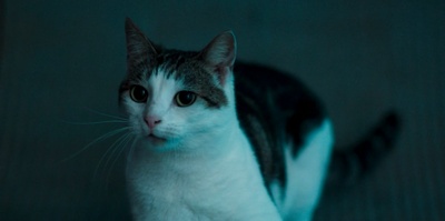 绿洲剧照的剧照