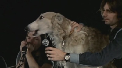 平克•弗洛伊德：庞贝古城现场录音纪录片剧照的剧照