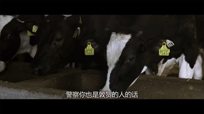 天空之蜂剧照的剧照