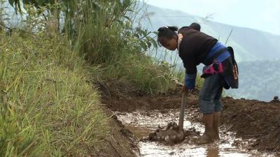 最后的香格里拉剧照的剧照