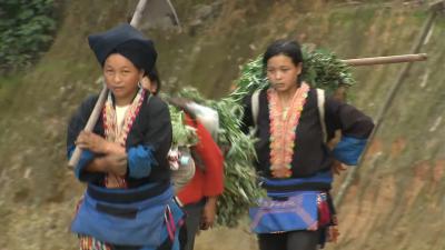 最后的香格里拉剧照的剧照