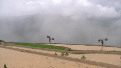 最后的香格里拉剧照的剧照