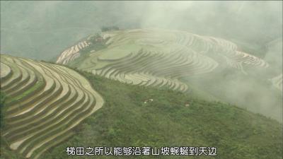 最后的香格里拉剧照的剧照