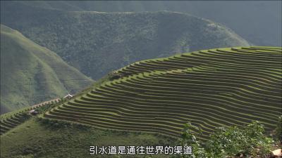 最后的香格里拉剧照的剧照