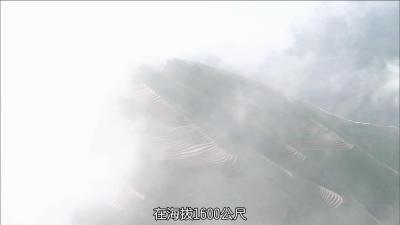 最后的香格里拉剧照的剧照