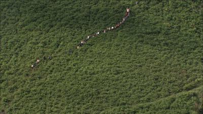 最后的香格里拉剧照的剧照
