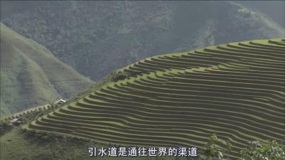 最后的香格里拉剧照的剧照