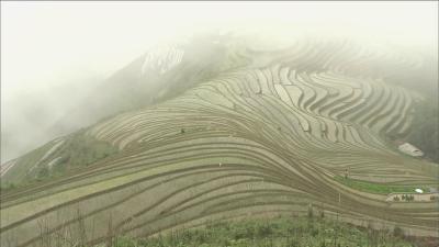 最后的香格里拉剧照的剧照