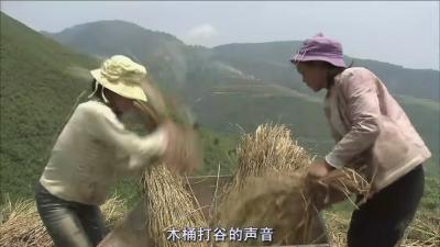 最后的香格里拉剧照的剧照