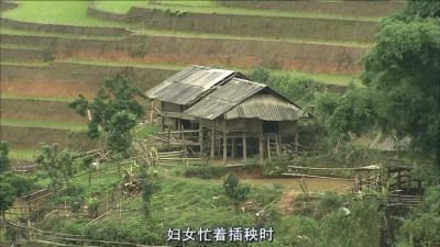 最后的香格里拉剧照的剧照