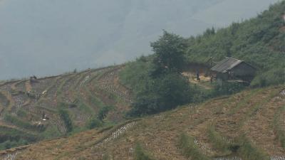 最后的香格里拉剧照的剧照