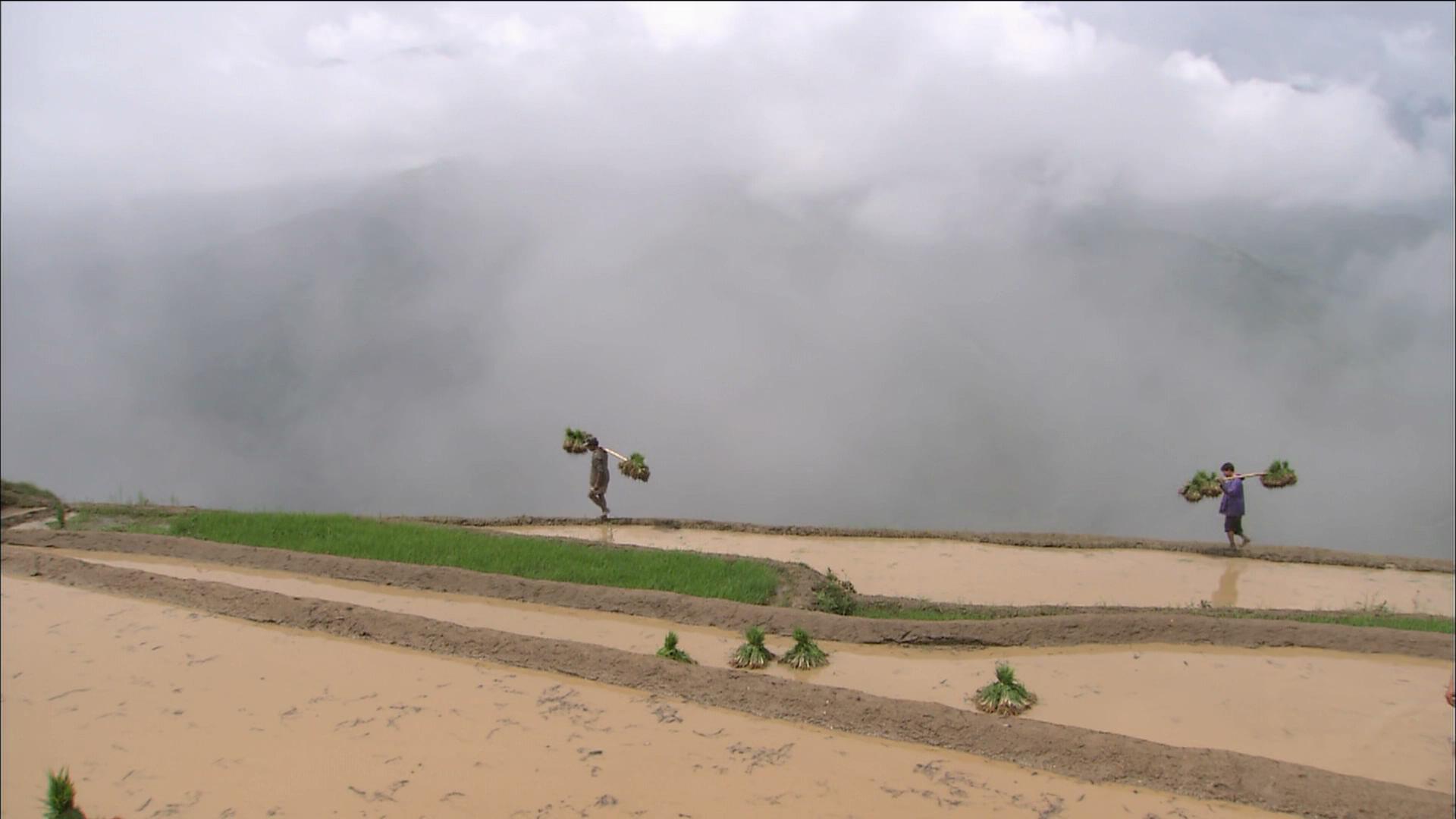 最后的香格里拉剧照的剧照