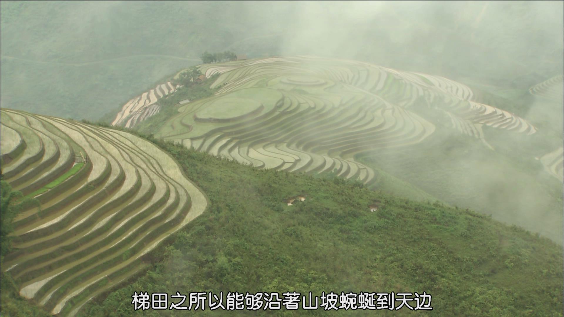 最后的香格里拉剧照的剧照