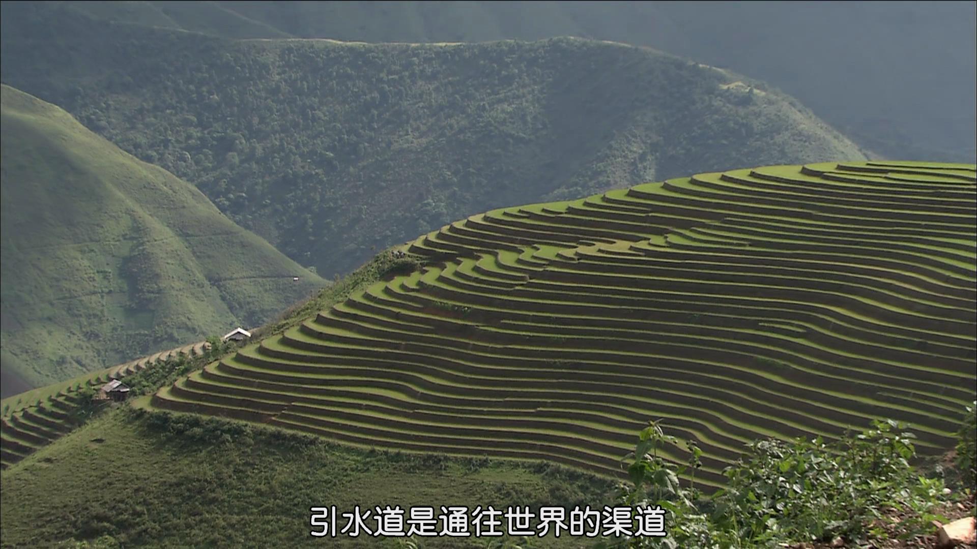 最后的香格里拉剧照的剧照