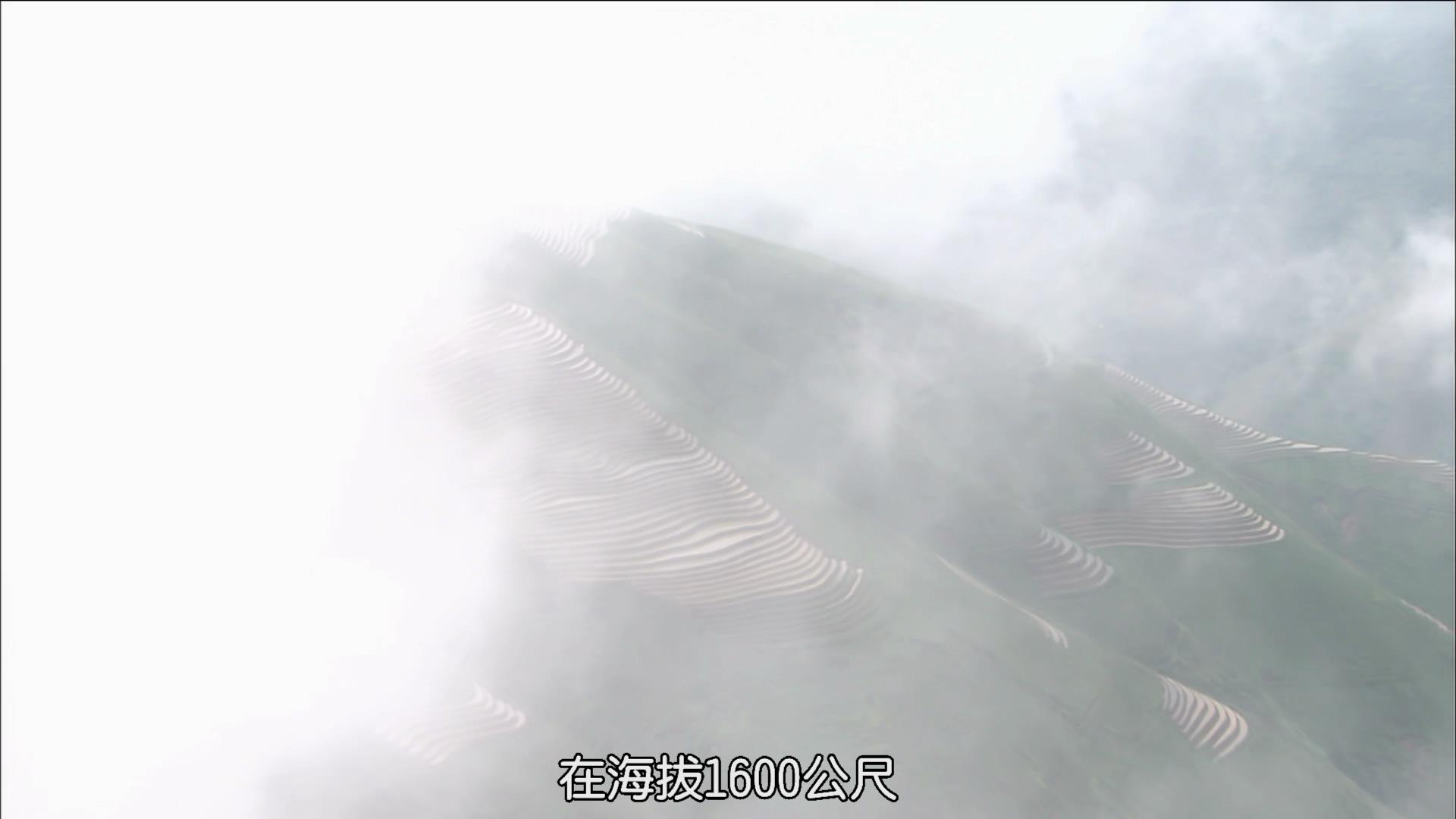 最后的香格里拉剧照的剧照