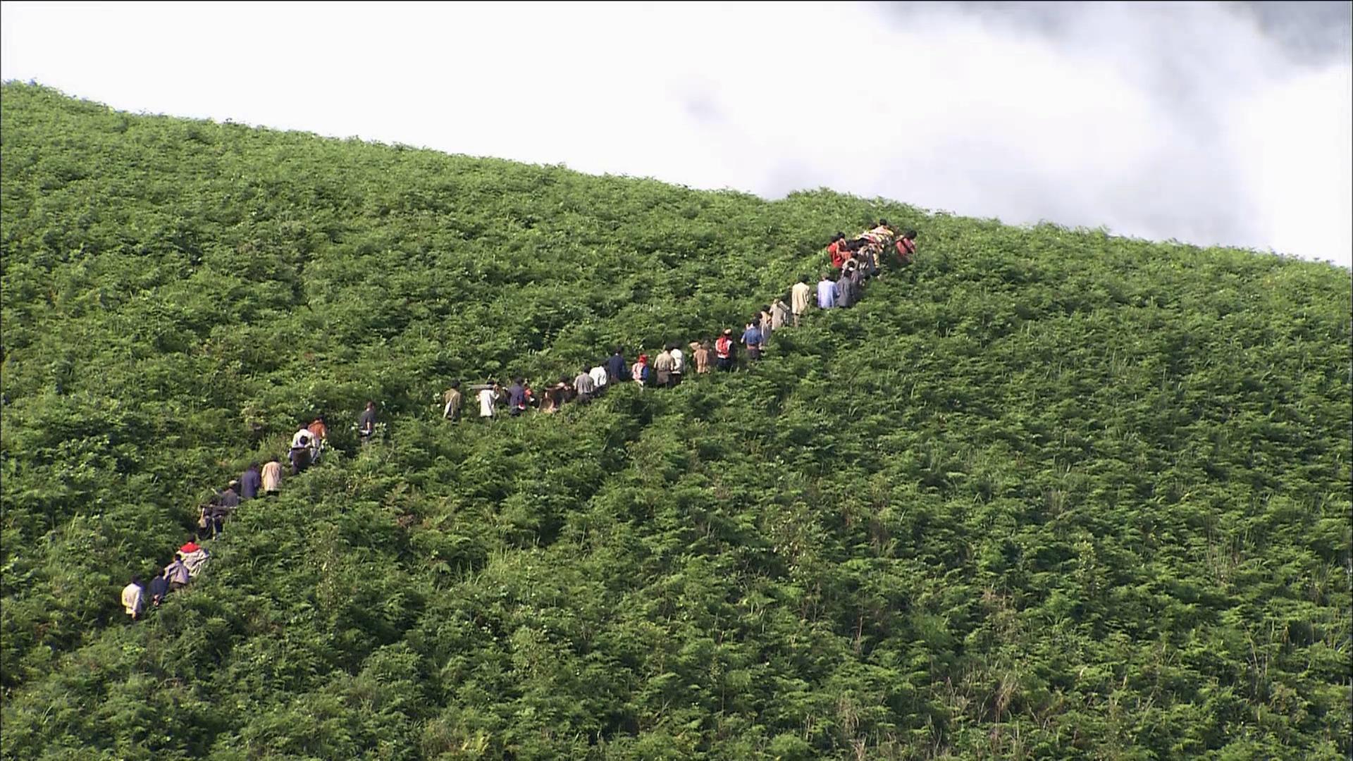 最后的香格里拉剧照的剧照