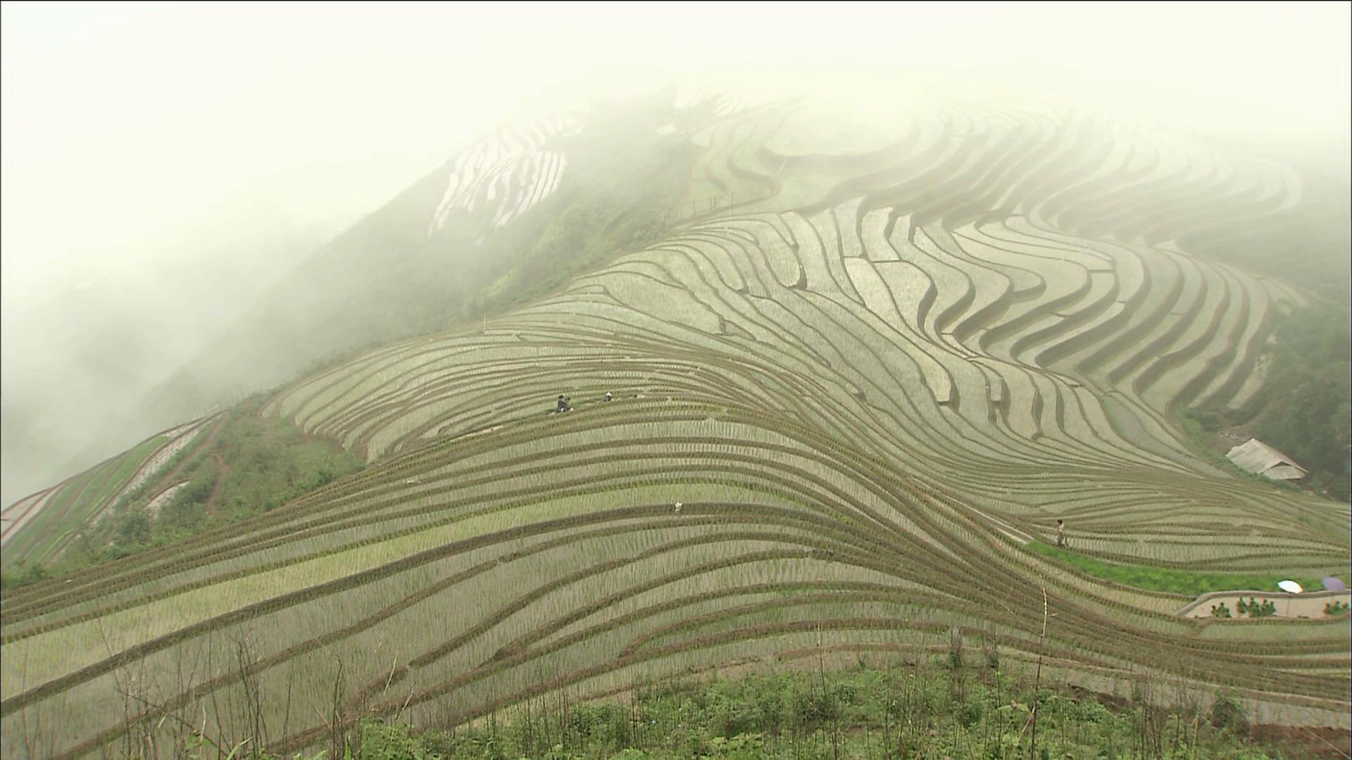 最后的香格里拉剧照的剧照