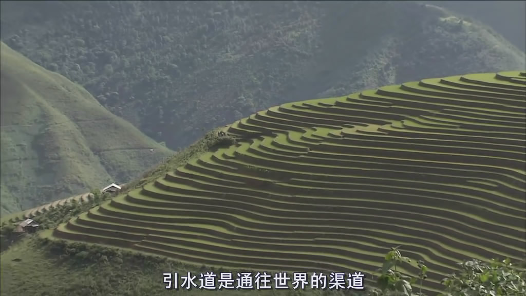 最后的香格里拉剧照的剧照