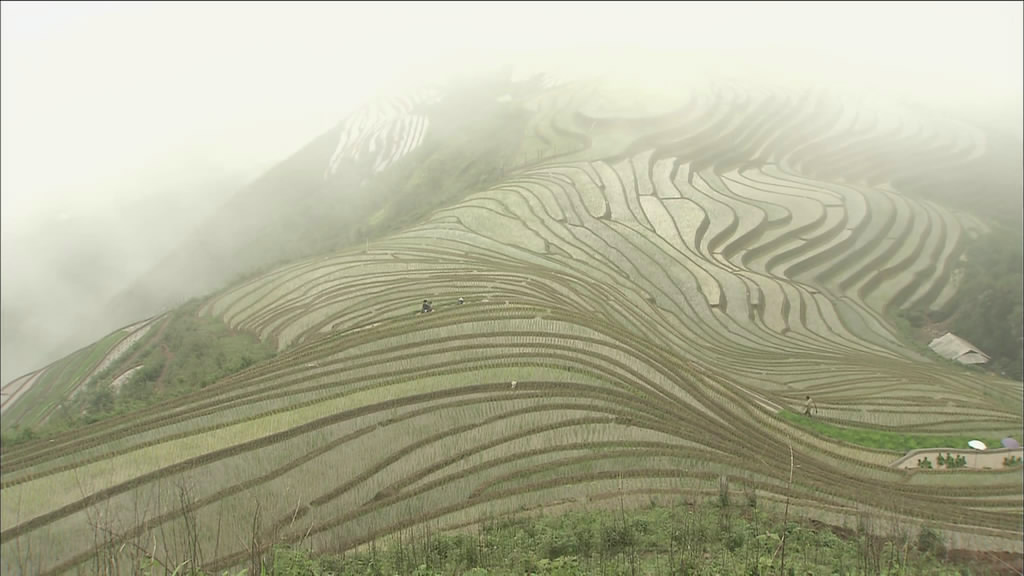 最后的香格里拉剧照的剧照