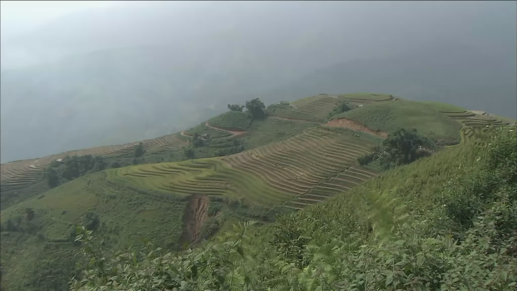 最后的香格里拉剧照的剧照