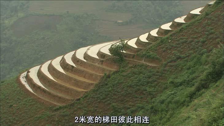 最后的香格里拉剧照的剧照