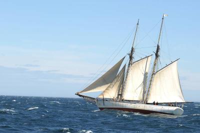 海狼剧照的剧照