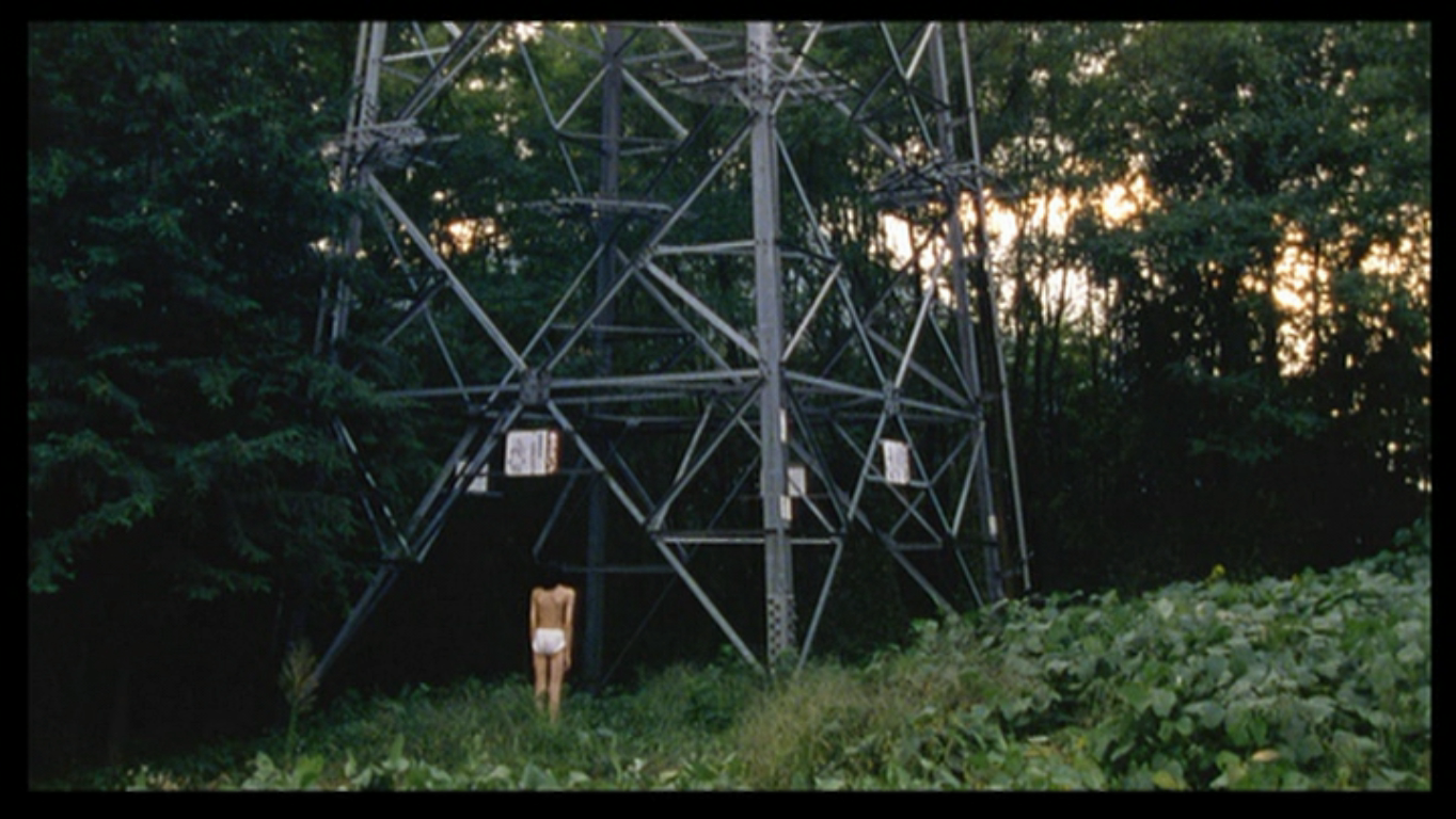 天线剧照的剧照