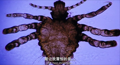 不善之举剧照的剧照