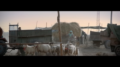 未择之路剧照的剧照