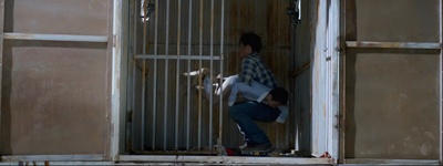 未择之路剧照的剧照