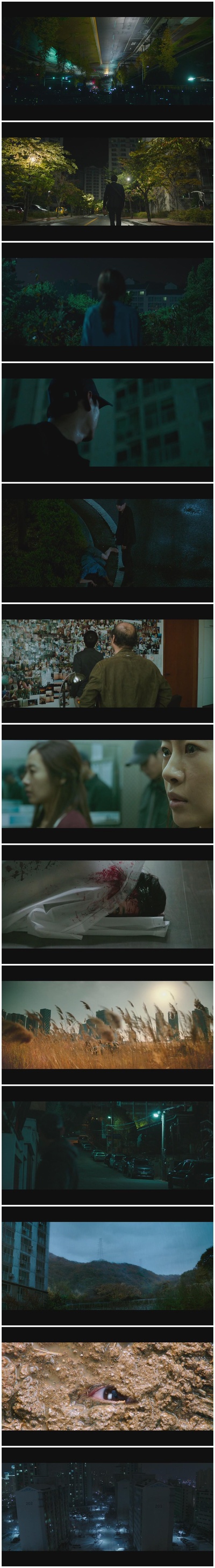 目击者剧照的剧照