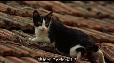 暴雨将至剧照的剧照