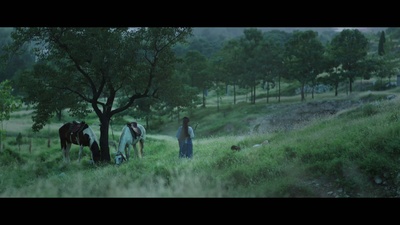 侠僧探案传奇之白马镖局剧照的剧照