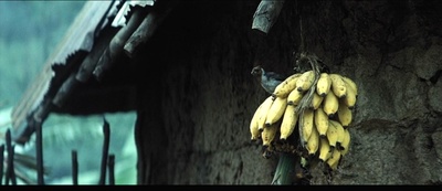 太阳泪剧照的剧照