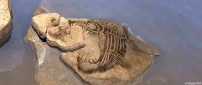 斑马总动员剧照的剧照