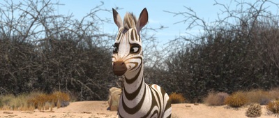 斑马总动员剧照的剧照