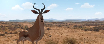 斑马总动员剧照的剧照