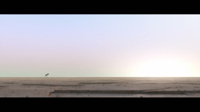 斑马总动员剧照的剧照