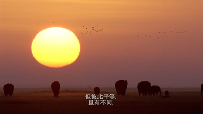 万物一体剧照的剧照